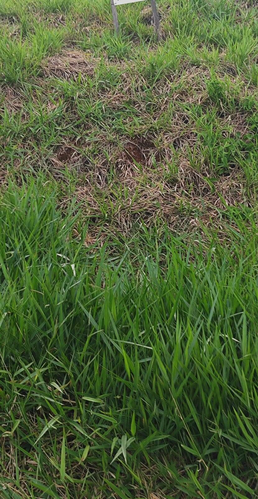 #TE1459 S-T - Terreno para Venda em Bragança Paulista - SP