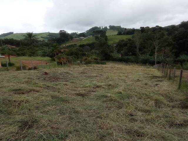 #TE13-SID - Terreno para Venda em Pedra Bela - SP - 3