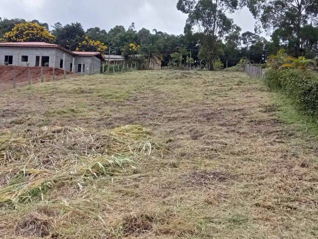 #TE13-SID - Terreno para Venda em Pedra Bela - SP - 2