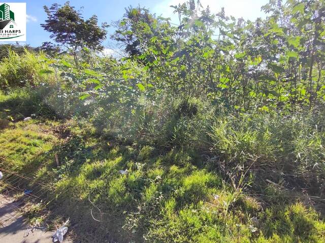 Terreno para Venda em Bragança Paulista - 4