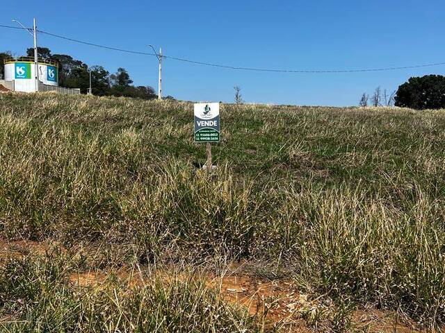 #TEQJL3-SID - Terreno para Venda em Vargem - SP - 3