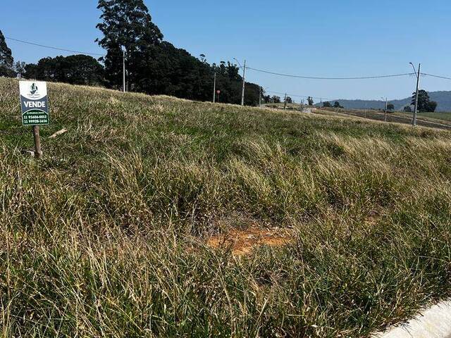 Terreno para Venda em Vargem - 5