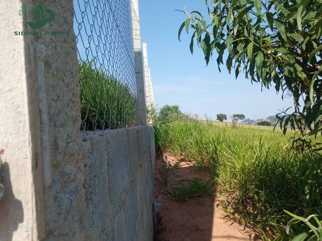 Terreno para Venda em Toledo - 4