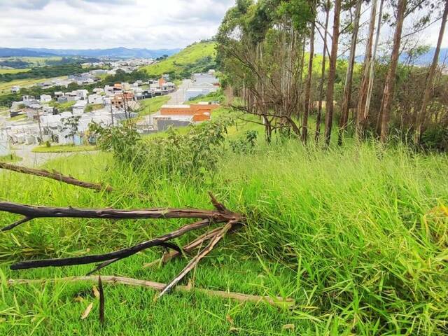 Terreno para Venda em Bragança Paulista - 4