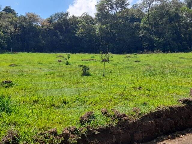 Venda em cachoeirinha - Pinhalzinho