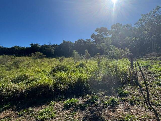 Terreno para Venda em Pinhalzinho - 5