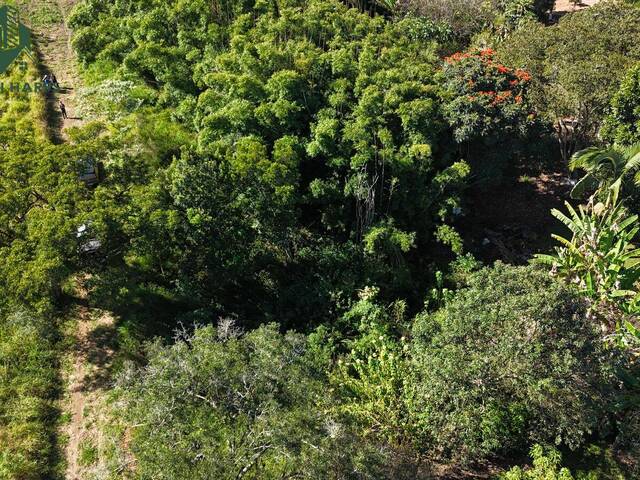 Terreno para Venda em Pinhalzinho - 4