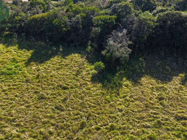 #TE23-S.VG - Terreno para Venda em Pinhalzinho - SP - 2