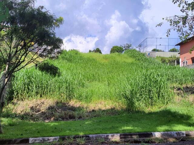 #TE280-SID - Terreno em condomínio para Venda em Joanópolis - SP - 2