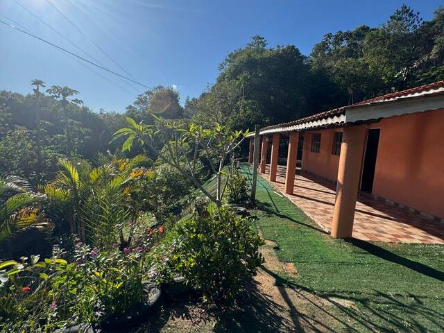 Venda em Serrinha - Bragança Paulista