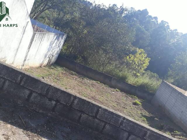 Frente